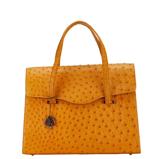 Ostrich Handbag Orange JRA Used