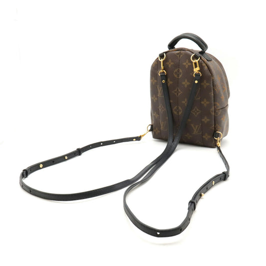 Louis Vuitton Monogram Palm Springs Mini Backpack M41562