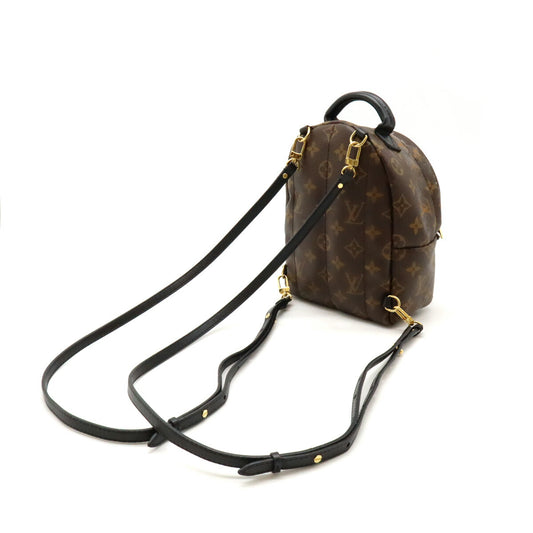 Louis Vuitton Monogram Palm Springs Mini Backpack M44873