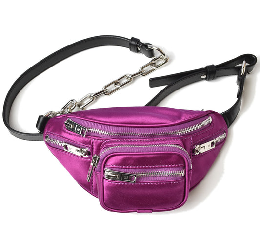 Alexander Wang Crossbody Bag Purple