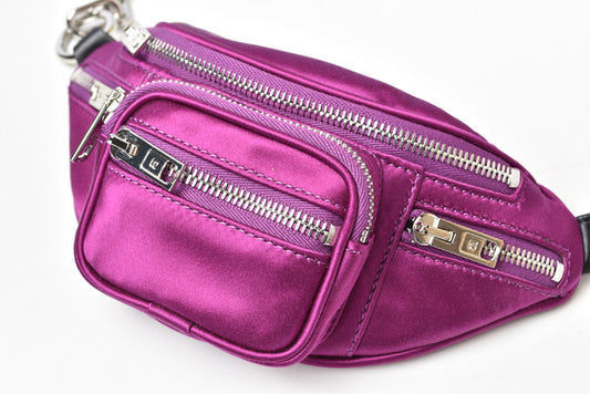 Alexander Wang Crossbody Bag Purple