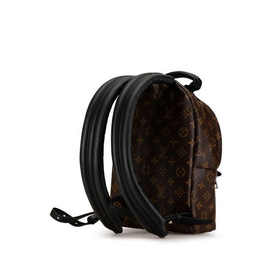 Louis Vuitton Monogram Palm Springs PM Backpack M41560