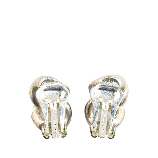 Dior Silver Metal Earrings